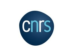 Logo CNRS : Centre National de la Recherche Scientifique Logo du CNRS (Centre National de la Recherche Scientifique) : lettres minuscules 'cnrs' en bleu clair sur fond bleu foncé, inscrit dans une forme organique.