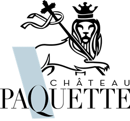 Logo Q stylisé sur fond incliné bleu clair Lettre majuscule Q stylisée en noir, inscrite sur une longue bande verticale gris-bleu clair inclinée sur fond noir.