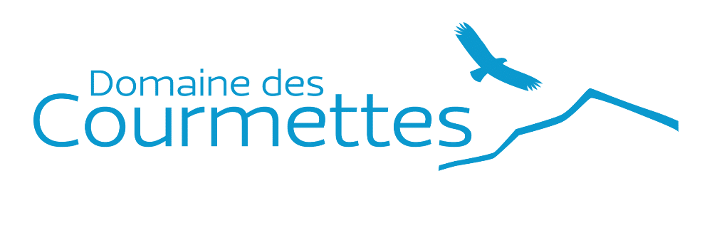 Logo Domaine des Courmettes : Aigle et Montagne Logo bleu ciel pour "Domaine des Courmettes" avec un oiseau en vol au-dessus d'une ligne de montagne stylisée sur fond noir.